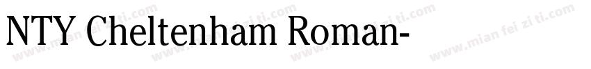 NTY Cheltenham Roman字体转换